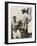 D H Lawrence English Novelist with His German Wife Frieda-null-Framed Photographic Print