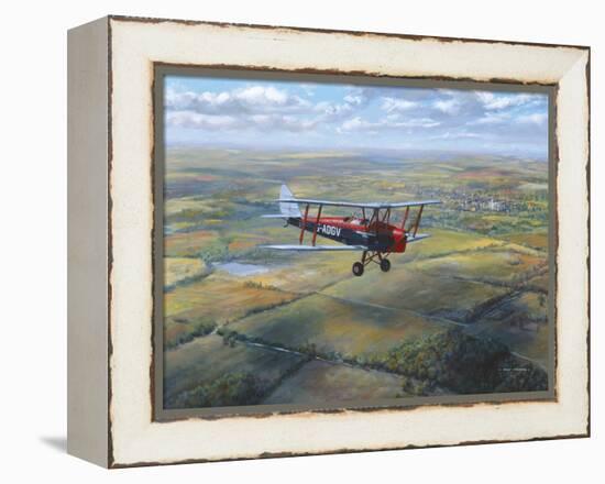 D.H. Tiger Moth-Roy Cross-Framed Stretched Canvas