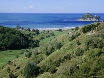 Irish Summer Colours, Dingle Peninsula, County Kerry, Munster, Republic of Ireland (Eire)-D H Webster-Photographic Print