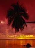 Paradise Beach, One Foot Island, Aitutaki, Cook Islands, South Pacific Islands-D H Webster-Photographic Print