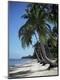 Premium Photographic Print