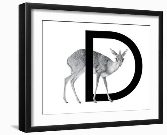 D is for Dikdik-Stacy Hsu-Framed Art Print