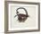 D Is for Dragon, 1979-Wayne Anderson-Framed Giclee Print