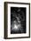 d-nul fierar (Mr. Smith)-Vlad Dumitrescu-Framed Photographic Print