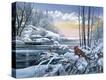 Stretched Canvas Print