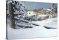 Stretched Canvas Print