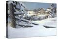 Stretched Canvas Print