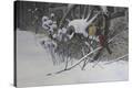 Stretched Canvas Print