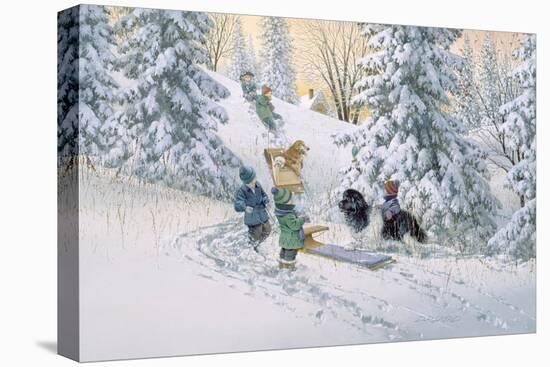 Stretched Canvas Print, , large