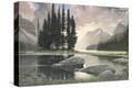 Stretched Canvas Print