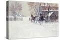 Stretched Canvas Print