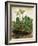 D?Rer: Tuft Of Cowslips-Albrecht Dürer-Framed Giclee Print