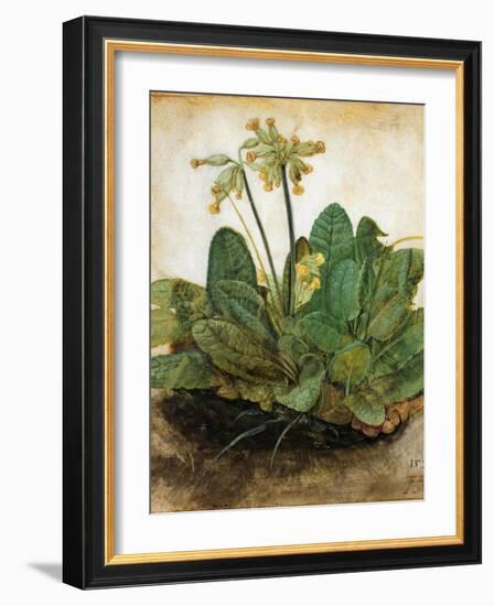 D?Rer: Tuft Of Cowslips-Albrecht Dürer-Framed Giclee Print