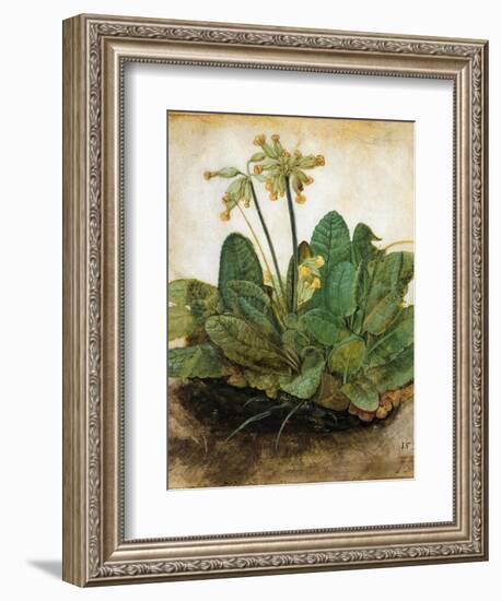 D?Rer: Tuft Of Cowslips-Albrecht Dürer-Framed Giclee Print