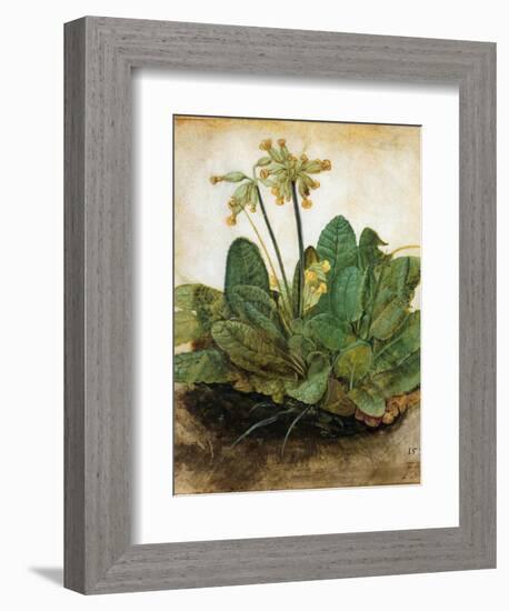 D?Rer: Tuft Of Cowslips-Albrecht Dürer-Framed Giclee Print