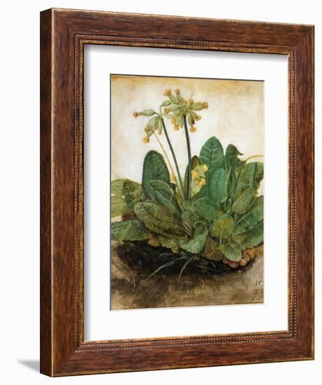 D?Rer: Tuft Of Cowslips-Albrecht Dürer-Framed Giclee Print