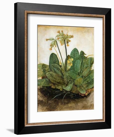 D?Rer: Tuft Of Cowslips-Albrecht Dürer-Framed Giclee Print