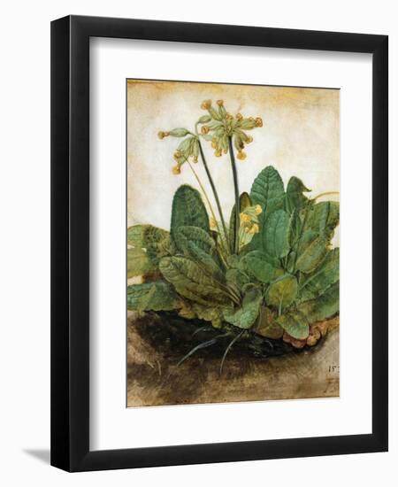 D?Rer: Tuft Of Cowslips-Albrecht Dürer-Framed Giclee Print