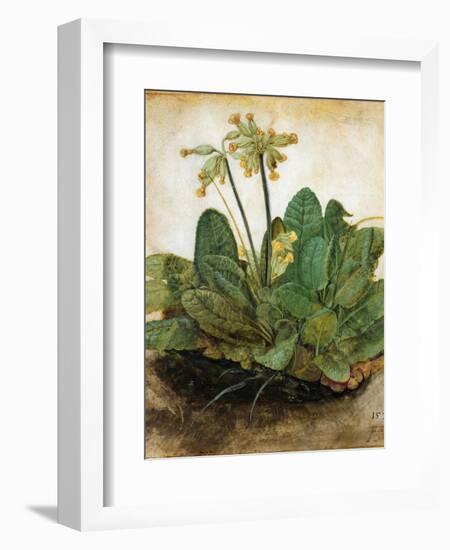 D?Rer: Tuft Of Cowslips-Albrecht Dürer-Framed Giclee Print