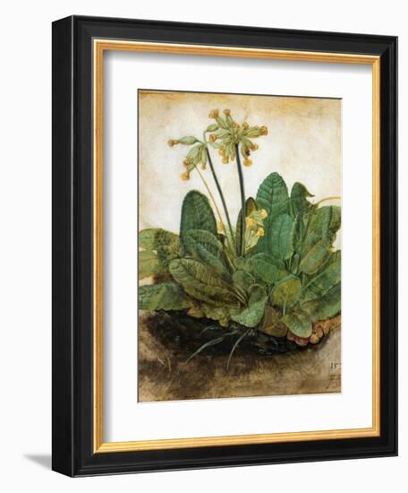 D?Rer: Tuft Of Cowslips-Albrecht Dürer-Framed Giclee Print