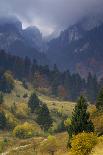 Rock of the King, Piatra Craiului National Park, Transylvania, Carpathian Mountains, Romania-D?rr-Photographic Print