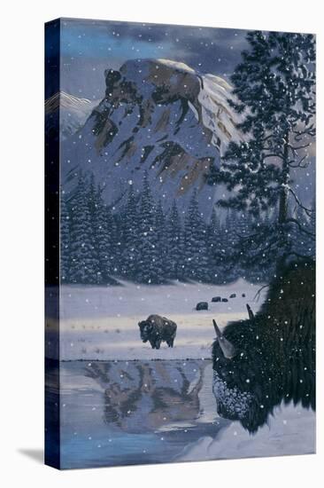 Stretched Canvas Print, , large