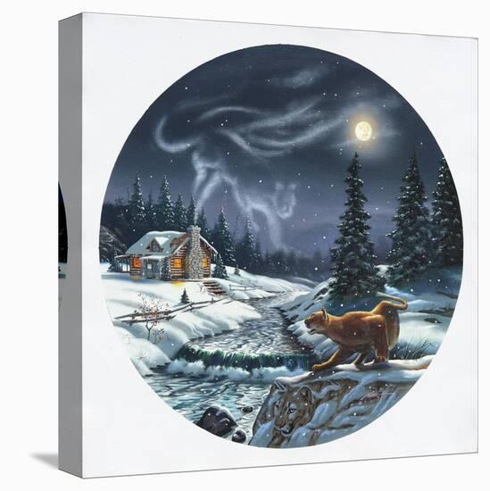 Stretched Canvas Print, , large