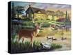 Stretched Canvas Print