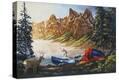 Stretched Canvas Print