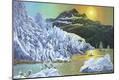 Premium Giclee Print