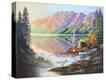 Stretched Canvas Print