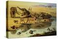 Stretched Canvas Print