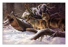 Wolves in Winter-D Van Heerde-Mounted Art Print