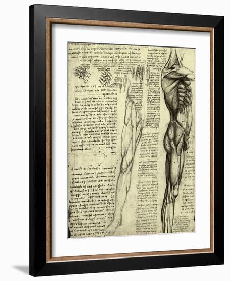 Da Vinci's Man Machine-Leonardo da Vinci-Framed Giclee Print