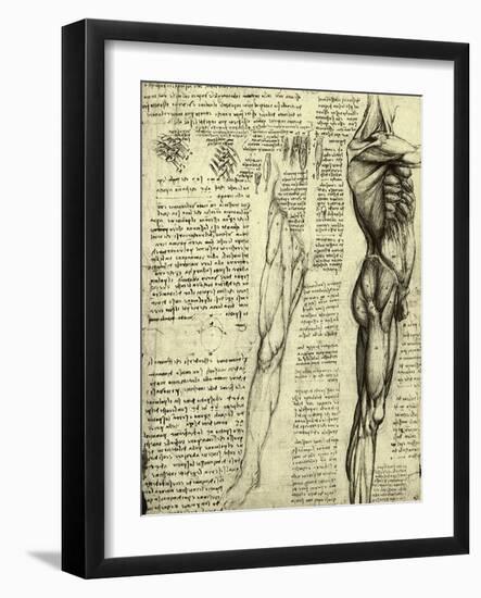 Da Vinci's Man Machine-Leonardo da Vinci-Framed Giclee Print