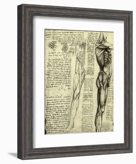 Da Vinci's Man Machine-Leonardo da Vinci-Framed Giclee Print