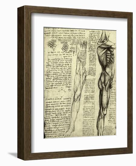 Da Vinci's Man Machine-Leonardo da Vinci-Framed Giclee Print