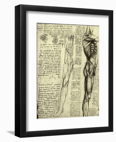 Da Vinci's Man Machine-Leonardo da Vinci-Framed Giclee Print