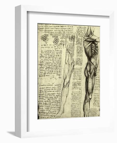 Da Vinci's Man Machine-Leonardo da Vinci-Framed Giclee Print