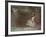 Dabfly-Lynne Davies-Framed Photographic Print