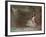 Dabfly-Lynne Davies-Framed Photographic Print