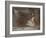 Dabfly-Lynne Davies-Framed Photographic Print