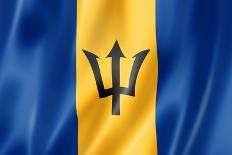 Jamaican Flag-daboost-Art Print