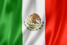 Mexican Flag-daboost-Art Print