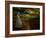 Dabspot-Lynne Davies-Framed Photographic Print