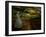 Dabspot-Lynne Davies-Framed Photographic Print