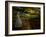 Dabspot-Lynne Davies-Framed Photographic Print