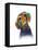 Dachshund 1-Marlene Watson-Framed Premier Image Canvas