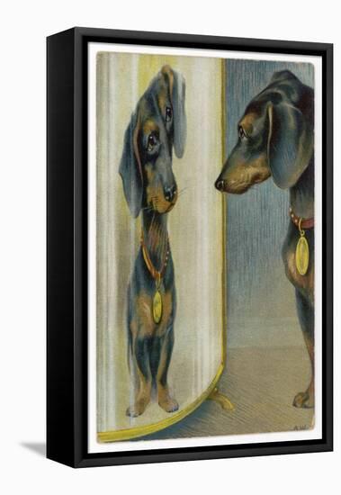 Dachshund Admires Its Reflection in a Distorting Mirror-null-Framed Stretched Canvas