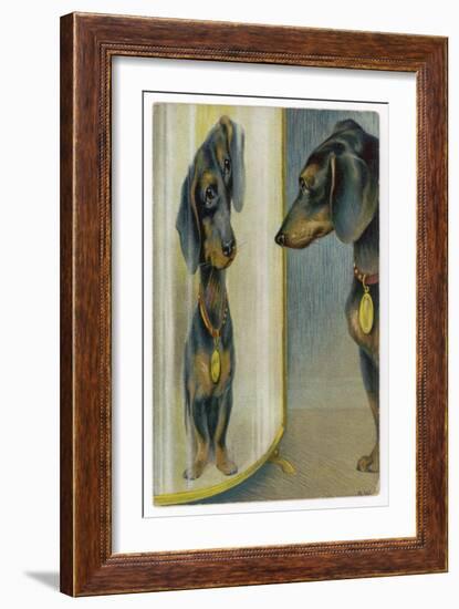 Dachshund Admires Its Reflection in a Distorting Mirror-null-Framed Premium Giclee Print